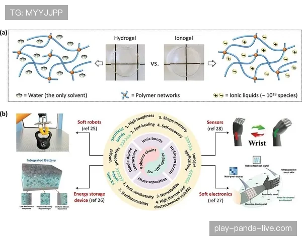 内斯塔与阿尔维斯如何塑造防线的分散与集中结构