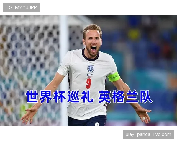世界杯B组卡塔尔能否扮演搅局者